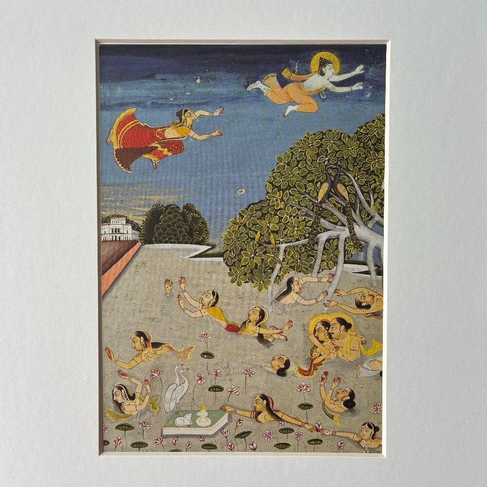 NWT ART PRINT: Garden Cosmos, The Royal Paintings of Jodhpur
